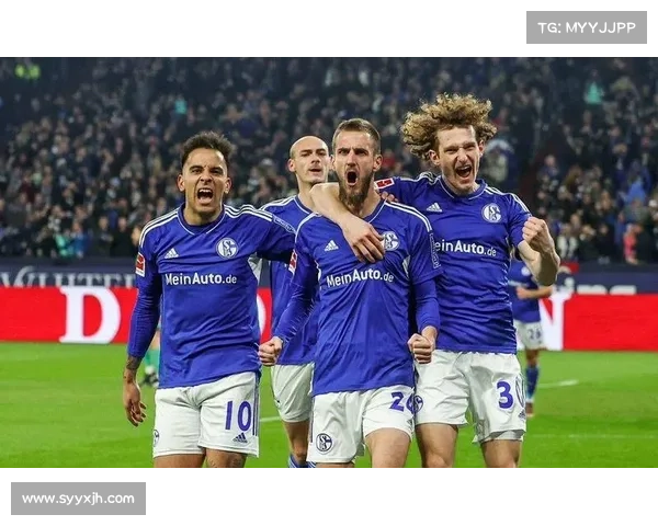 法尔范在沙尔克04时期主要担任什么位置及其战术作用解析